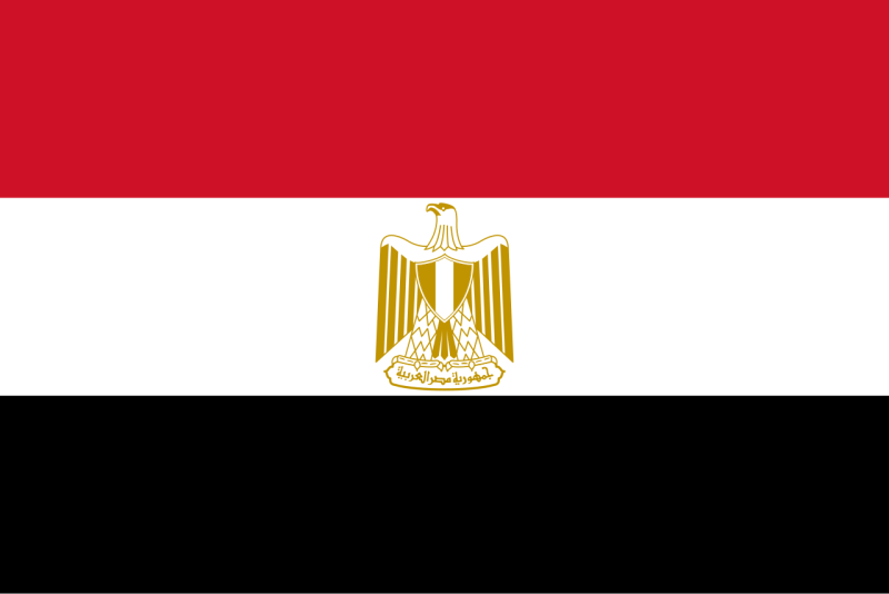 File:Flag of Egypt.svg.png
